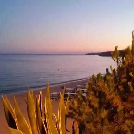 Beira Mar Terrace Apartment